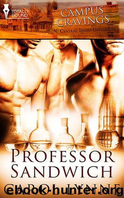 Professor Sandwich by Carol Lynne