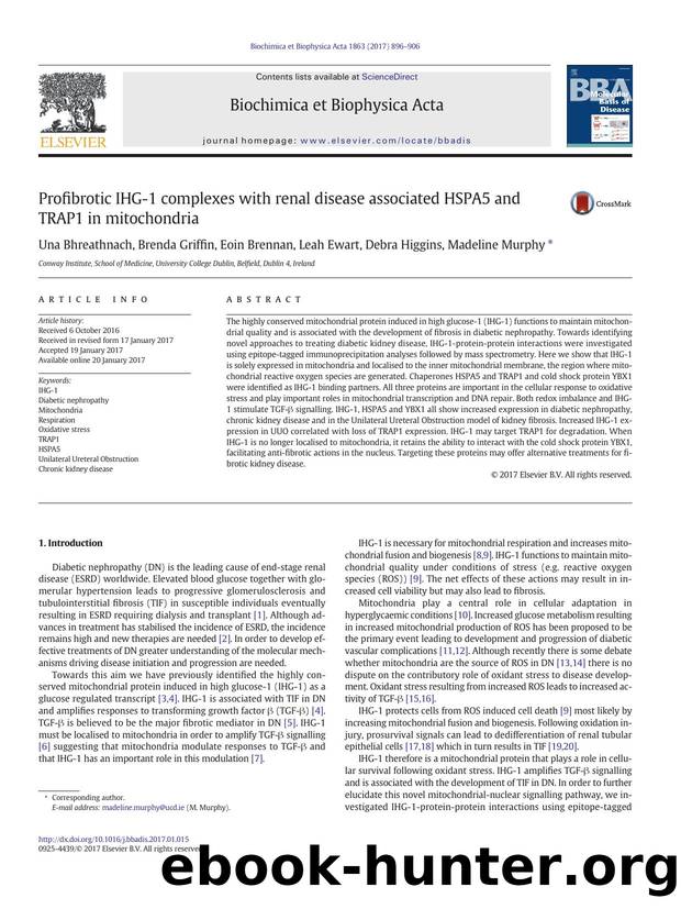 Profibrotic IHG-1 complexes with renal disease associated HSPA5 and TRAP1 in mitochondria by Una Bhreathnach & Brenda Griffin & Eoin Brennan & Leah Ewart & Debra Higgins & Madeline Murphy