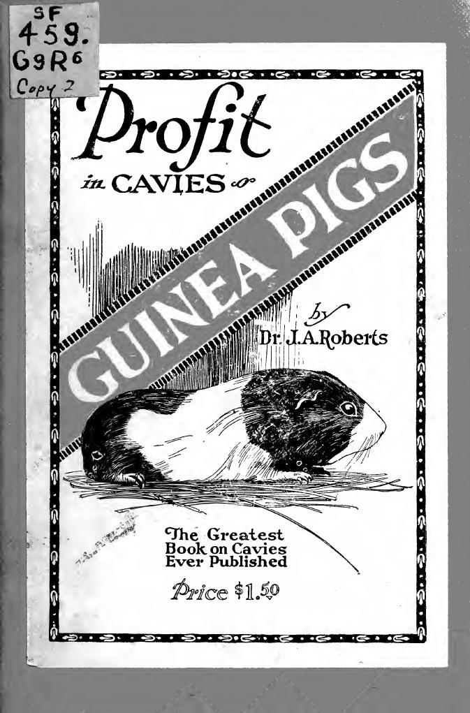 Profit in guinea pigs; breeding, management, varieties and practical knowledge of cavies by Roberts John A. 1890-