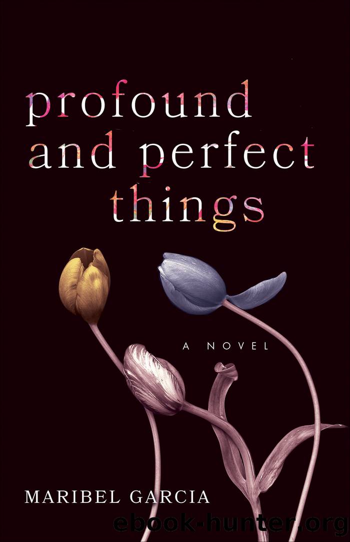 Profound and Perfect Things by Maribel Garcia