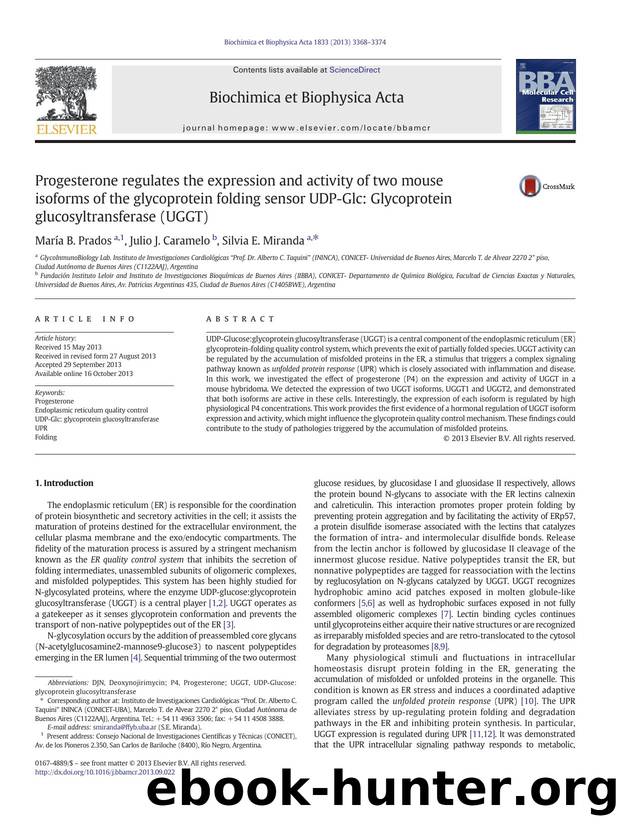 Progesterone regulates the expression and activity of two mouse isoforms of the glycoprotein folding sensor UDP-Glc: Glycoprotein glucosyltransferase (UGGT) by María B. Prados & Julio J. Caramelo & Silvia E. Miranda