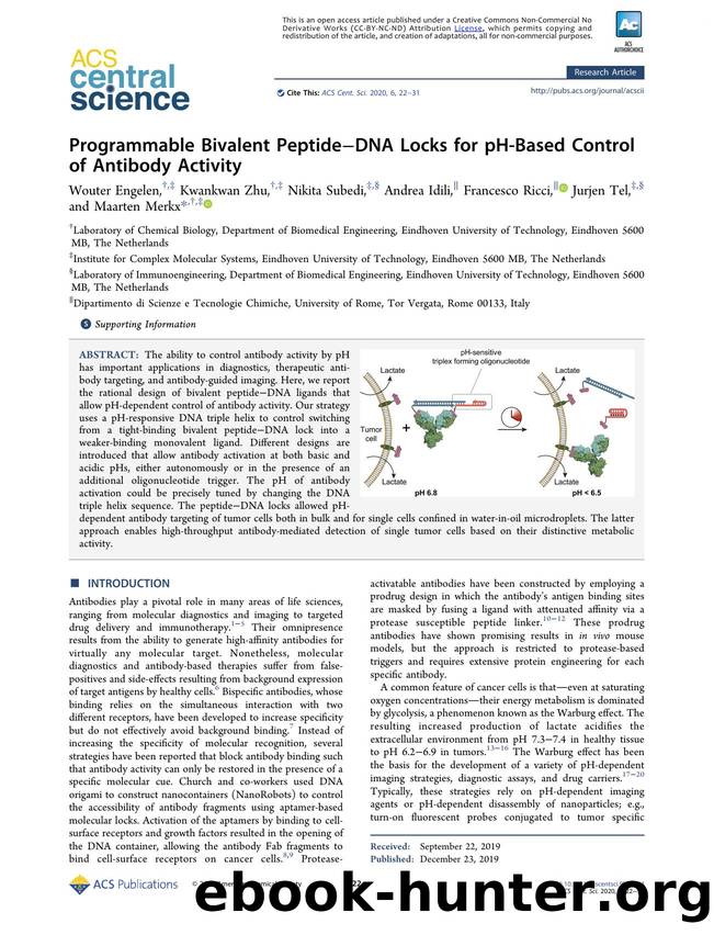 Programmable Bivalent PeptideâDNA Locks for pH-Based Control of Antibody Activity by unknow