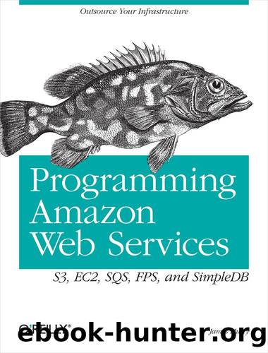Programming Amazon Web Services by James Murty