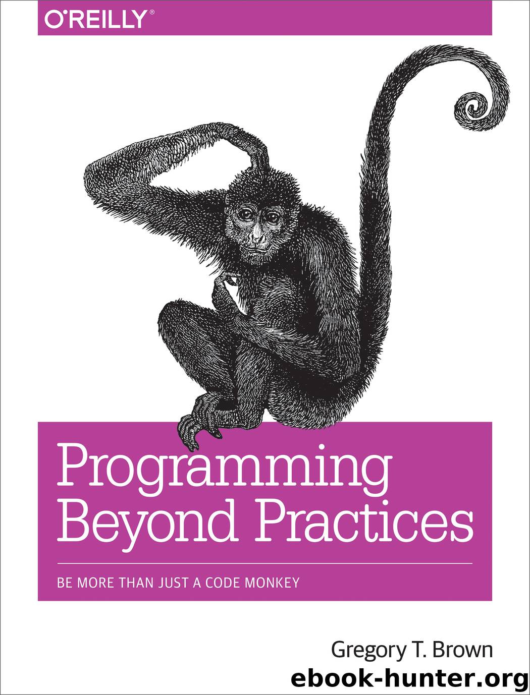 Programming Beyond Practices by Gregory T Brown