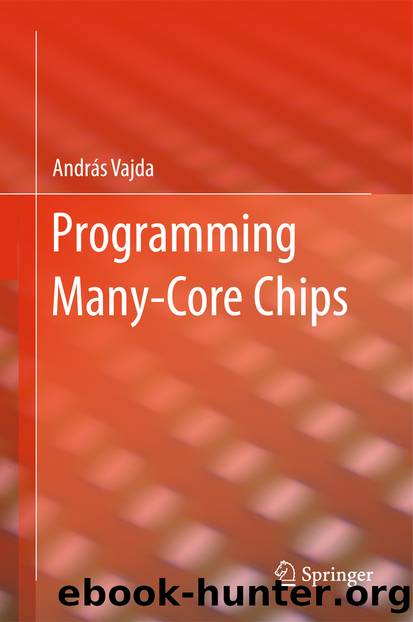 Programming Many-Core Chips by András Vajda
