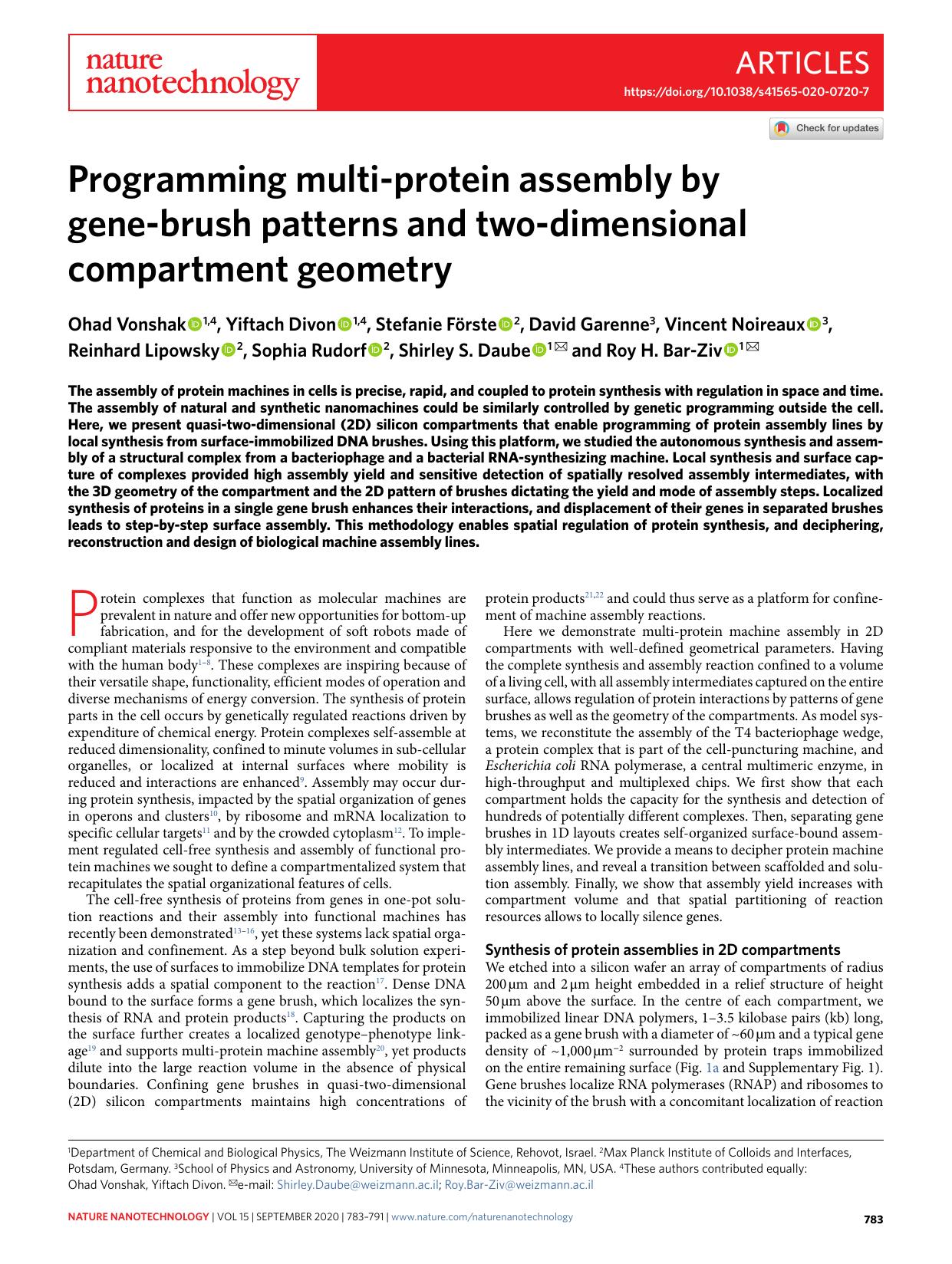 Programming multi-protein assembly by gene-brush patterns and two-dimensional compartment geometry by unknow