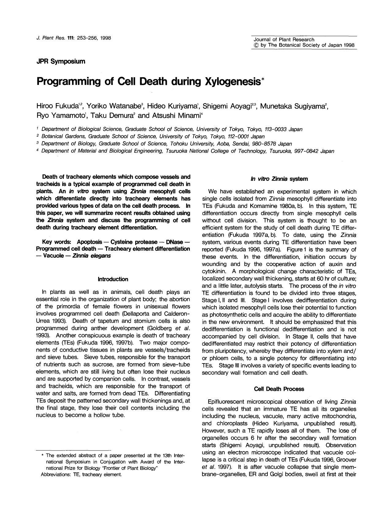 Programming of cell death during xylogenesis by Unknown