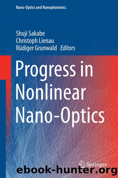 Progress in Nonlinear Nano-Optics by Shuji Sakabe Christoph Lienau & Rüdiger Grunwald