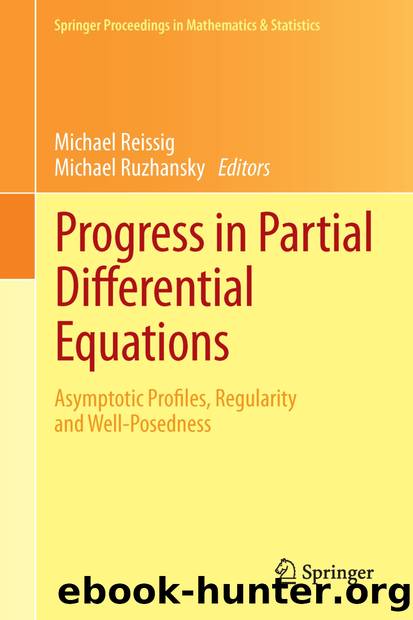 Progress in Partial Differential Equations by Michael Reissig & Michael Ruzhansky