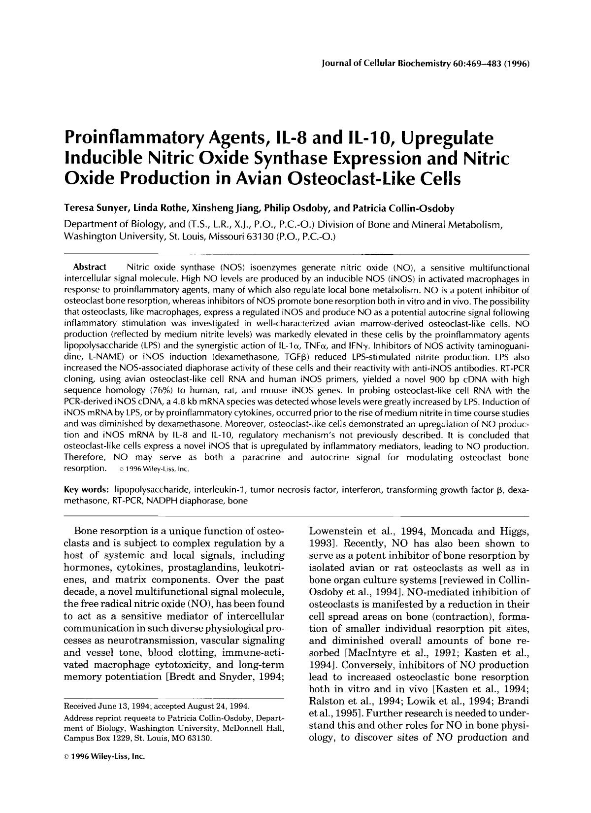 Proinflammatory agents, IL-8 and IL-10, upregulate inducible nitric oxide synthase expression and nitric oxide production in avian osteoclast-like cells by Unknown