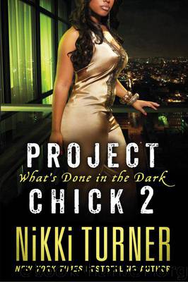 Project Chick II: What's Done in the Dark by Nikki Turner