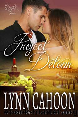 Project Detour (Castle View Book 3) by Lynn Cahoon