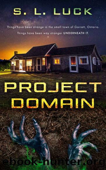 Project Domain by S.L. Luck