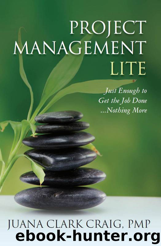 Project Management Lite: Just Enough to Get the Job Done...Nothing More by Juana Clark Craig