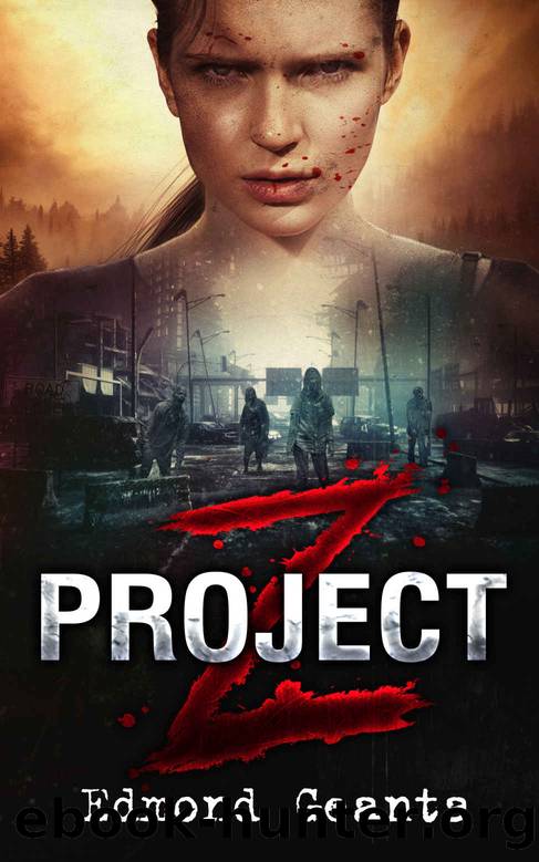 Project Z by Edmond Geanta