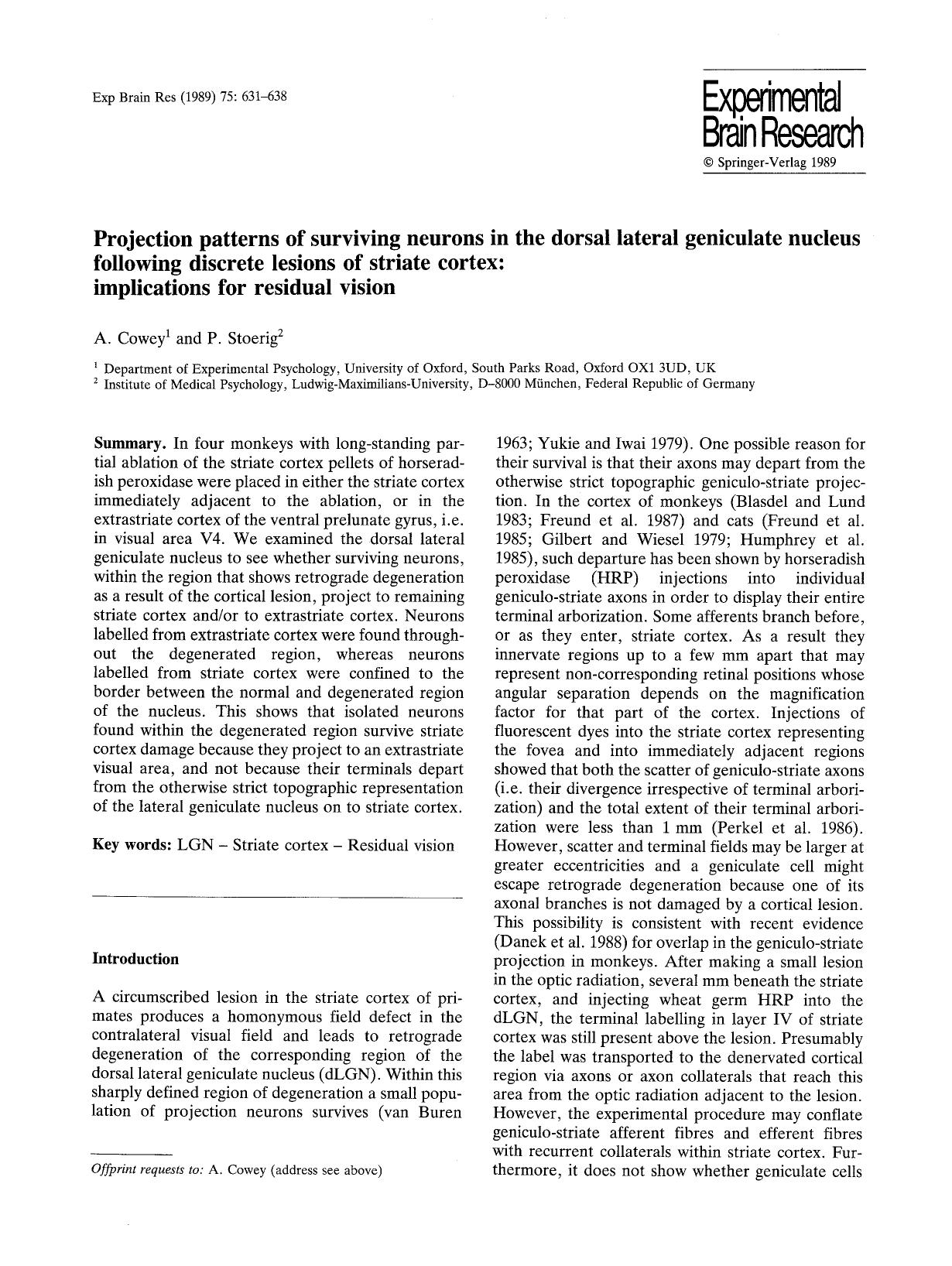 Projection patterns of surviving neurons in the dorsal lateral geniculate nucleus following discrete lesions of striate cortex: implications for residual vision by Unknown