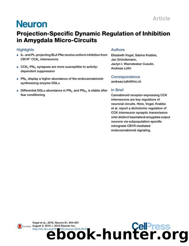 Projection-Specific Dynamic Regulation of Inhibition in Amygdala Micro-Circuits by Elisabeth Vogel & Sabine Krabbe & Jan Gründemann & Jaclyn I. Wamsteeker Cusulin & Andreas Lüthi