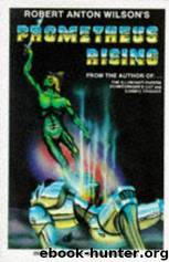 Prometheus Rising by Robert Anton Wilson