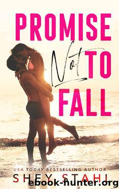 Promise Not To Fall by Shey Stahl