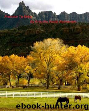 Promise To Keep by Rainwater Priscilla Poole