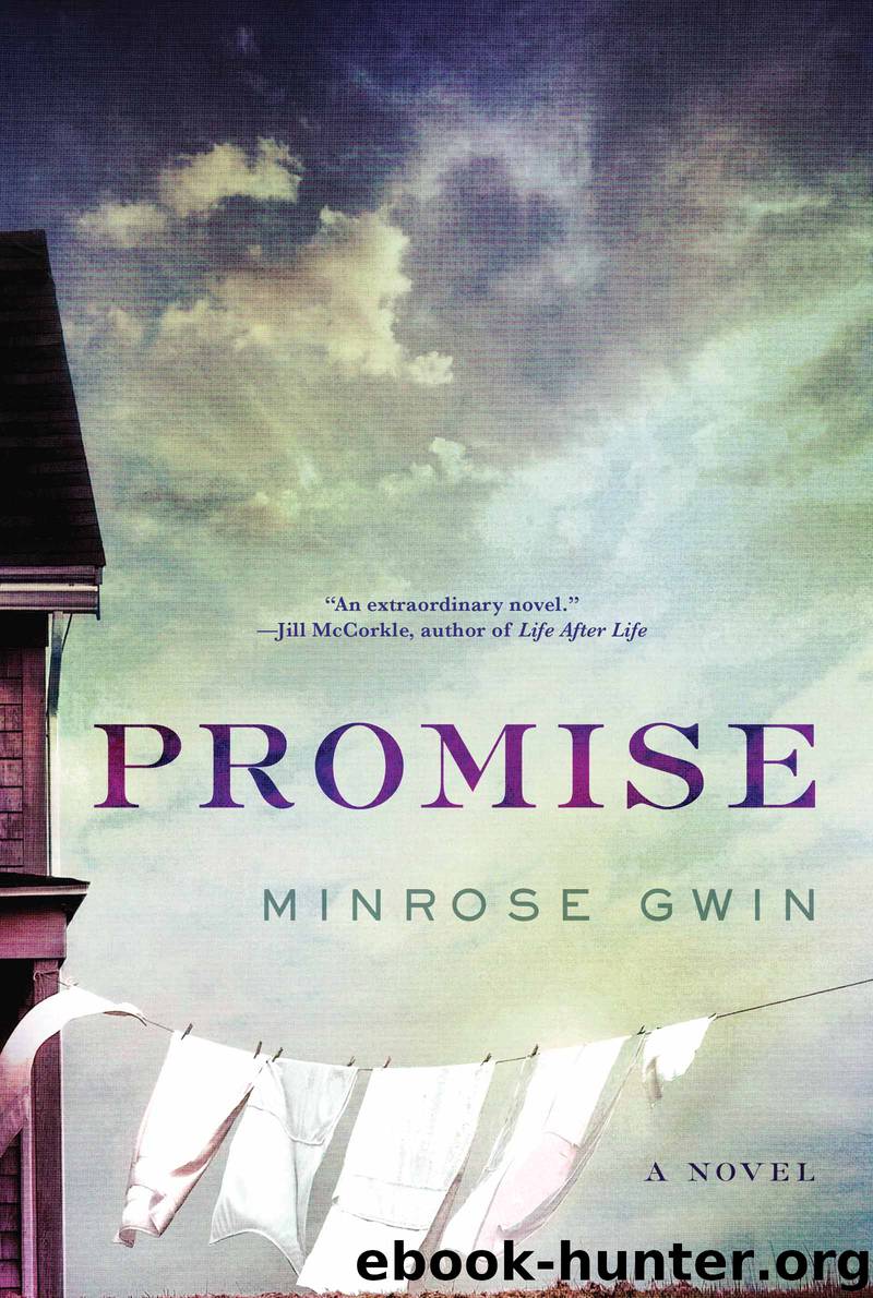 Promise by Minrose Gwin