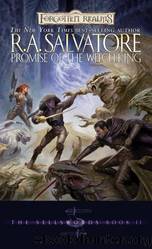 Promise of the Witch King by R.A. Salvatore