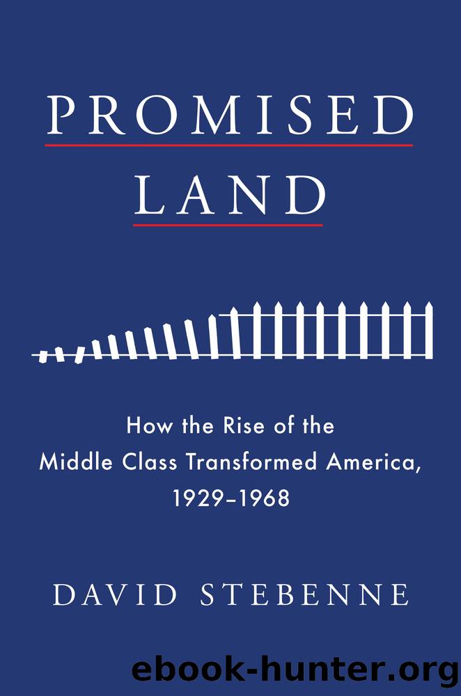 Promised Land by David Stebenne