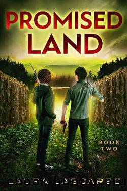Promised Land: A Zombie MM Romance (Mad World Book 2) by Laura Lascarso