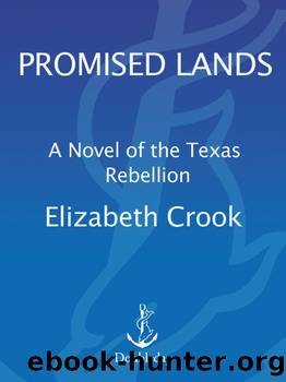 Promised Lands by Elizabeth Crook