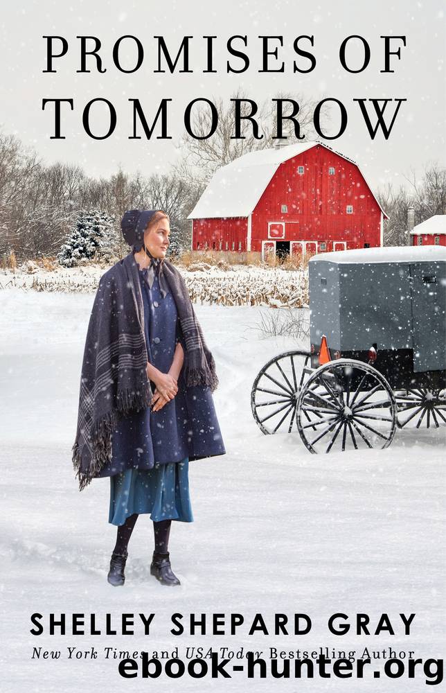Promises of Tomorrow by Shelley Shepard Gray