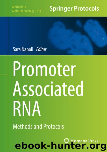 Promoter Associated RNA by Sara Napoli