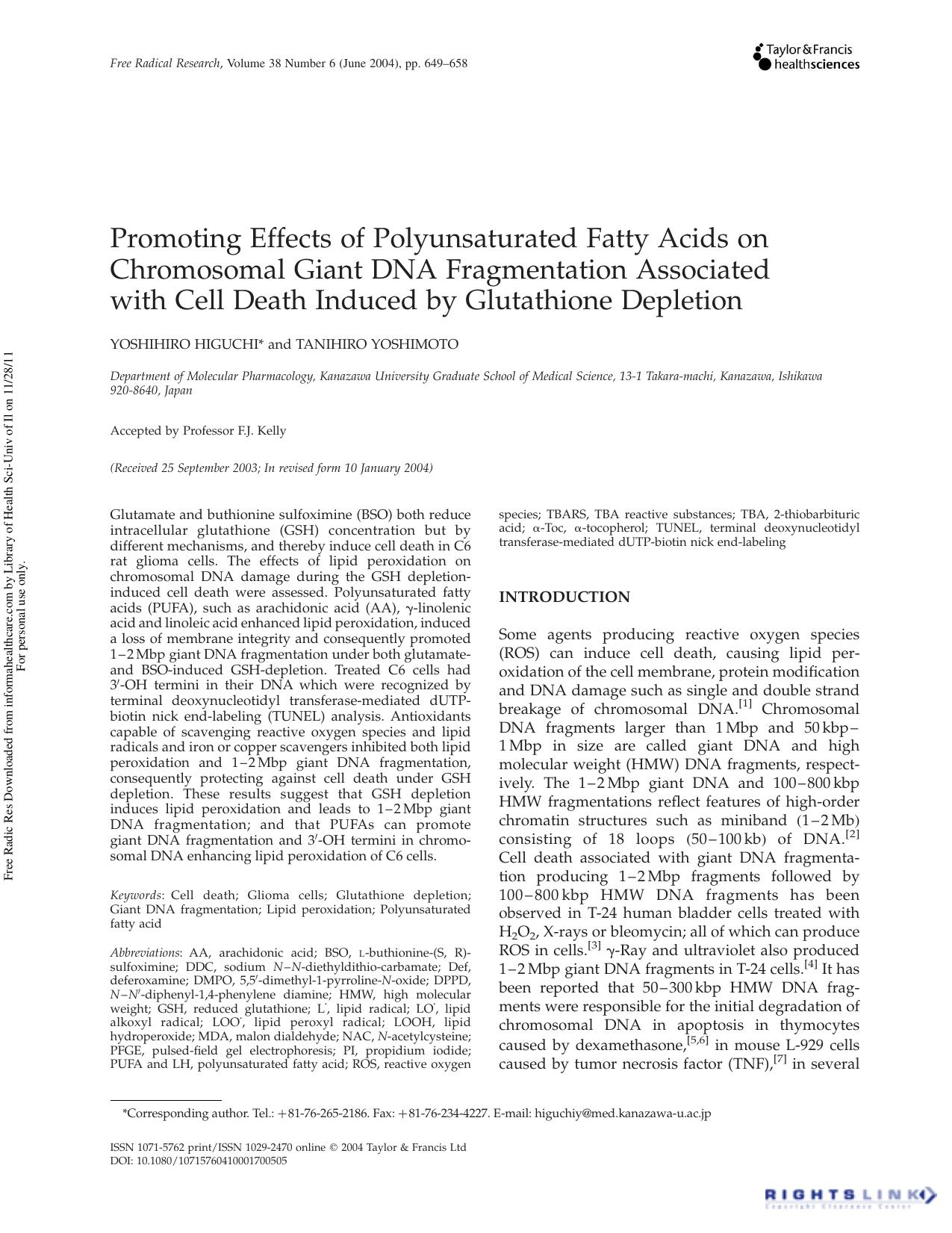 Promoting Effects of Polyunsaturated Fatty Acids on Chromosomal Giant DNA Fragmentation Associated with Cell Death Induced by Glutathione Depletion by Yoshihiro Higuchi & Tanihiro Yoshimoto