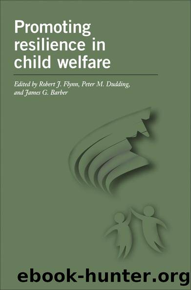 Promoting Resilience in Child Welfare by unknow