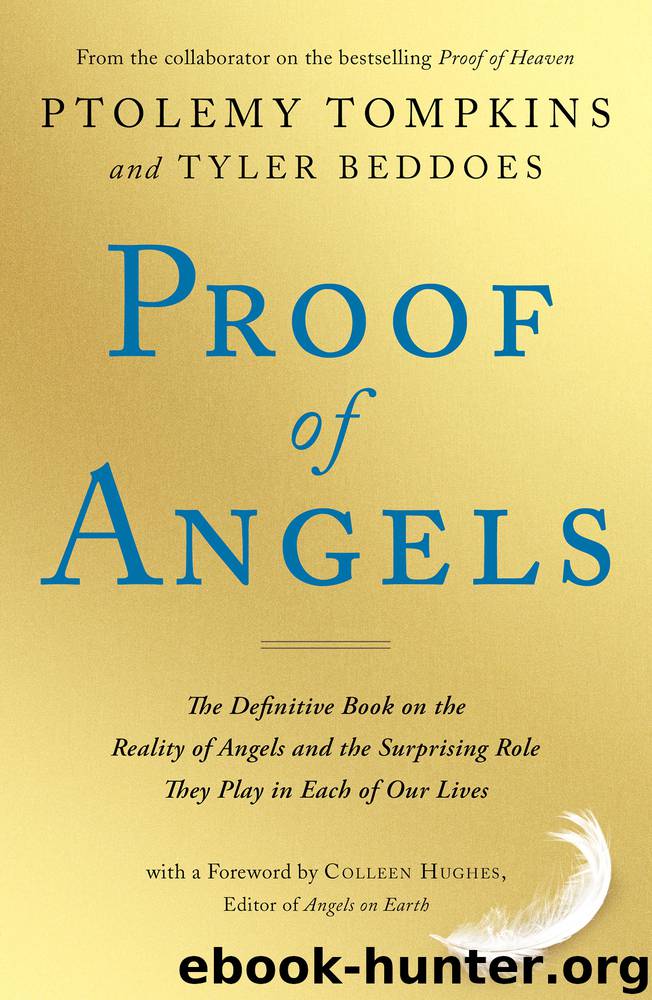 Proof of Angels by Ptolemy Tompkins