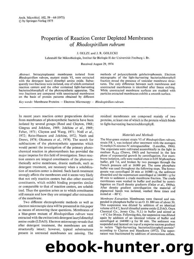 Properties of reaction center depleted membranes of <Emphasis Type="Italic">Rhodospirillum rubrum<Emphasis> by Unknown