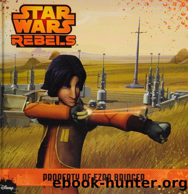 Property of Ezra Bridger by Vitale Brooke