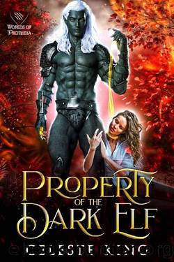 Property of the Dark Elf (Dark Fae Masters of Protheka Book 1) by Celeste King