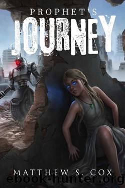 Prophet's Journey (Prophet of the Badlands Book 1) by Matthew S. Cox