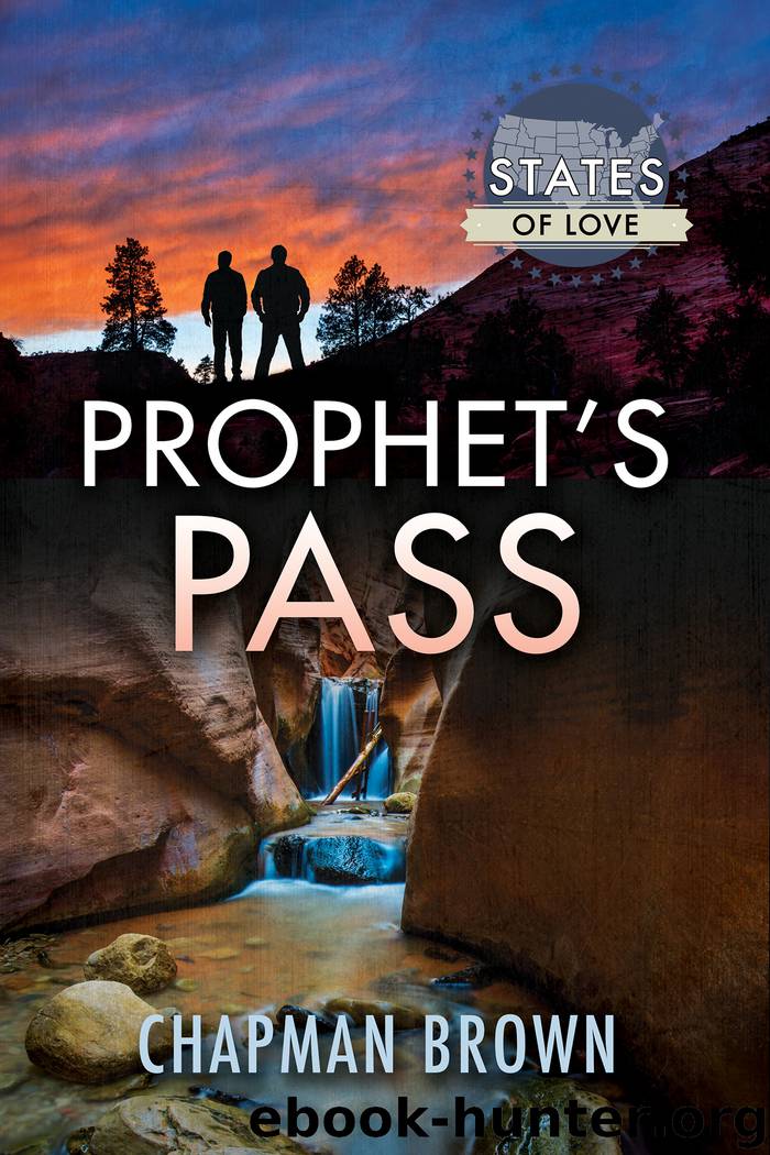 Prophet's Pass by Chapman Brown