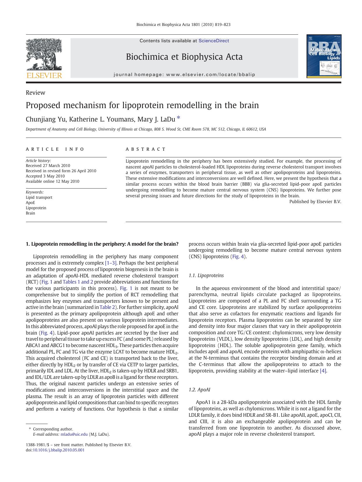 Proposed mechanism for lipoprotein remodelling in the brain by Chunjiang Yu; Katherine L. Youmans; Mary J. LaDu