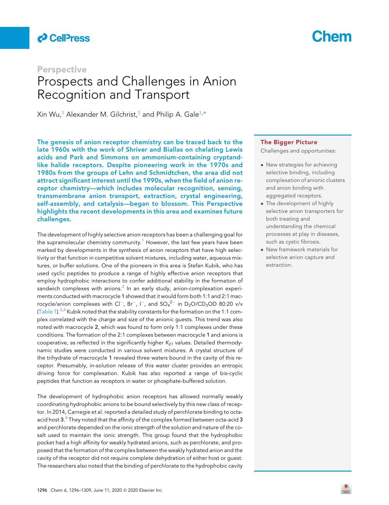 Prospects and Challenges in Anion Recognition and Transport by Xin Wu & Alexander M. Gilchrist & Philip A. Gale