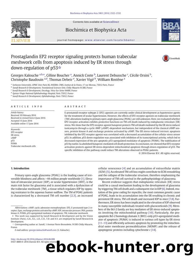 Prostaglandin EP2 receptor signaling protects human trabecular meshwork cells from apoptosis induced by ER stress through down-regulation of p53 by unknow