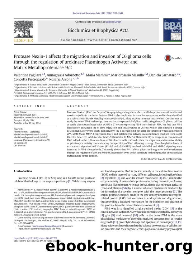 Protease Nexin-1 affects the migration and invasion of C6 glioma cells through the regulation of urokinase Plasminogen Activator and Matrix Metalloproteinase-92 by unknow