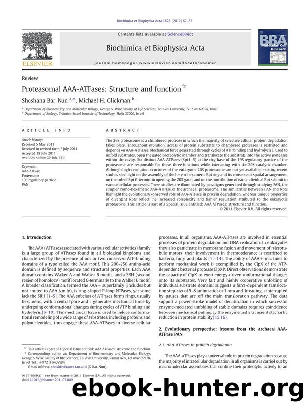 Proteasomal AAA-ATPases: Structure and function by Shoshana Bar-Nun & Michael H. Glickman