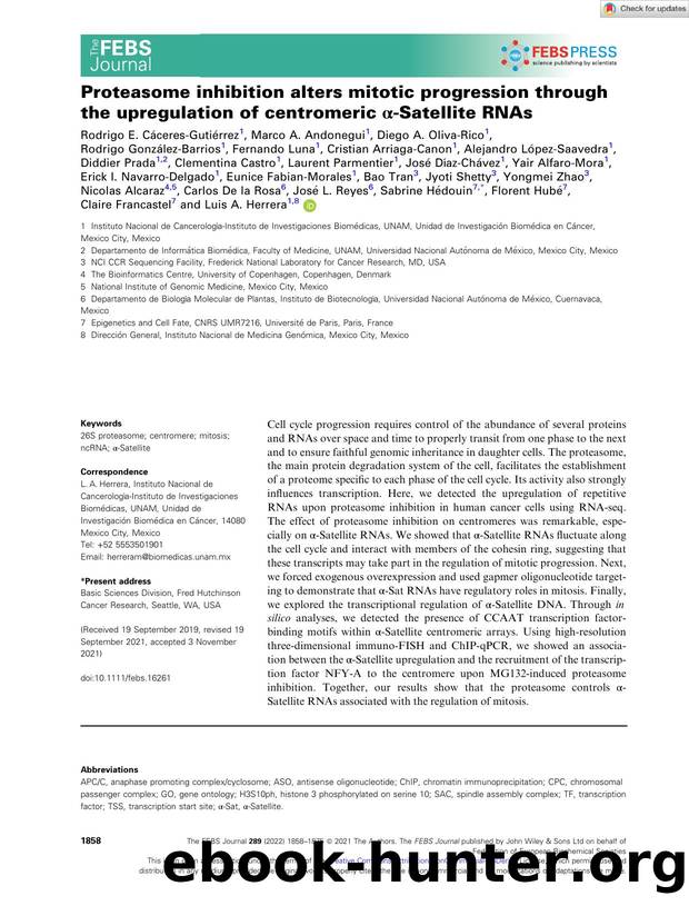 Proteasome inhibition alters mitotic progression through the upregulation of centromeric Î±âSatellite RNAs by Unknown