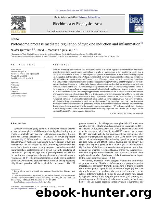 Proteasome protease mediated regulation of cytokine induction and inflammation by Nilofer Qureshi & David C. Morrison & Julia Reis
