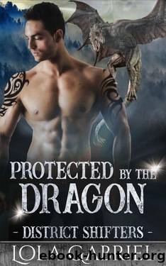Protected By The Dragon (District Shifters Book 4) by Lola Gabriel