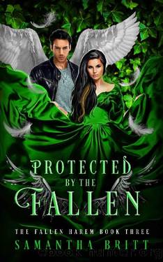 Protected by the Fallen~A Fallen Angel Reverse Harem Novel by Samantha Britt
