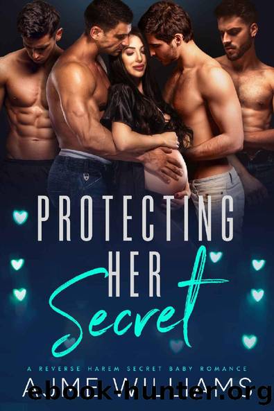 Protecting Her Secret: A Reverse Harem Secret Baby Romance (The Why Choose Haremland) by Ajme Williams
