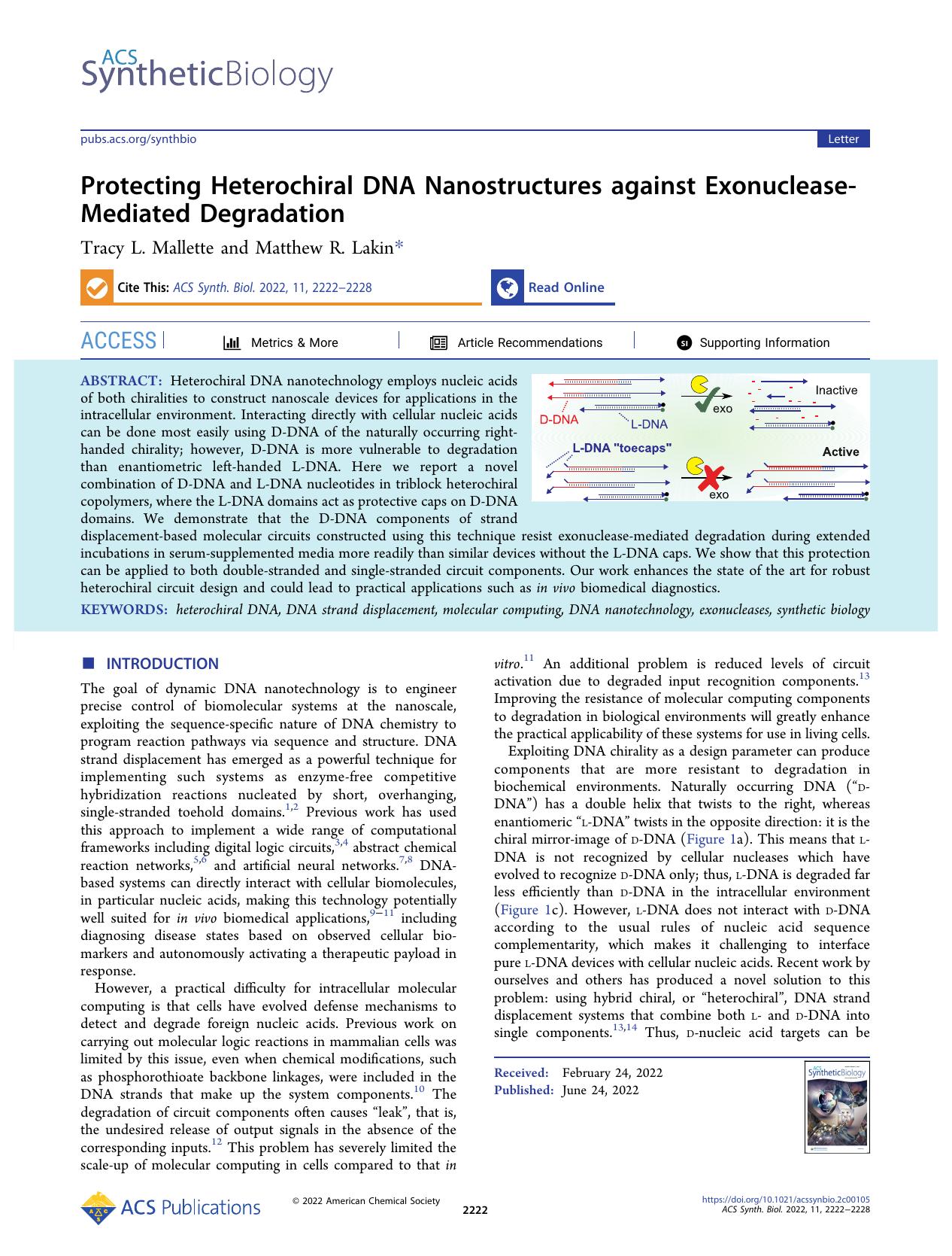 Protecting Heterochiral DNA Nanostructures against Exonuclease-Mediated Degradation by Tracy L. Mallette and Matthew R. Lakin